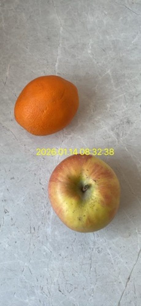 Timetag Camera 应用截图 2